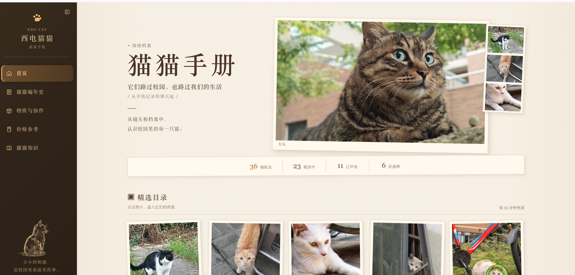 猫猫 v0.14.0 侧边栏默认折叠状态
